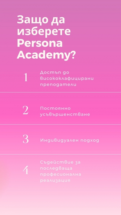  Persona Academy?